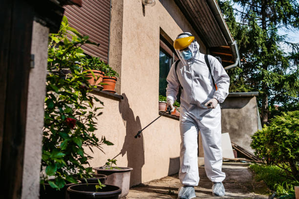 Best Pest Control Near Me  in Norwalk, CT