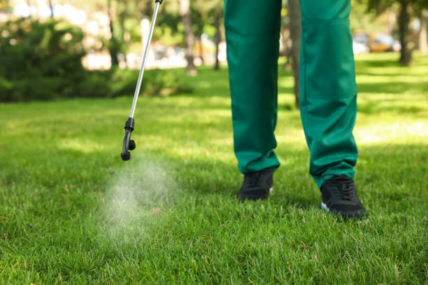 Best Flea Control Services  in Norwalk, CT