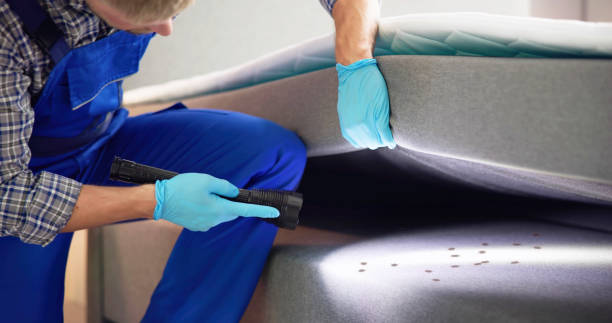 Best Commercial Pest Control Services  in Norwalk, CT