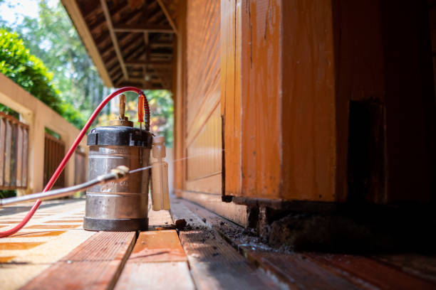 Best Ant Control Services  in Norwalk, CT