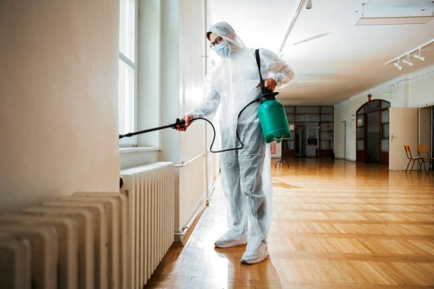 Flea Control Services in Norwalk, CT