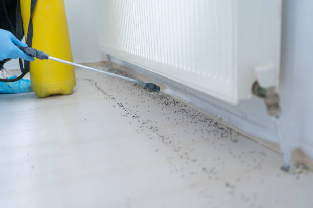Best Pest Prevention Services  in Norwalk, CT